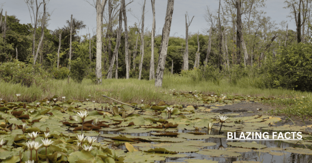 Review of causes of loss of biodiversity in India