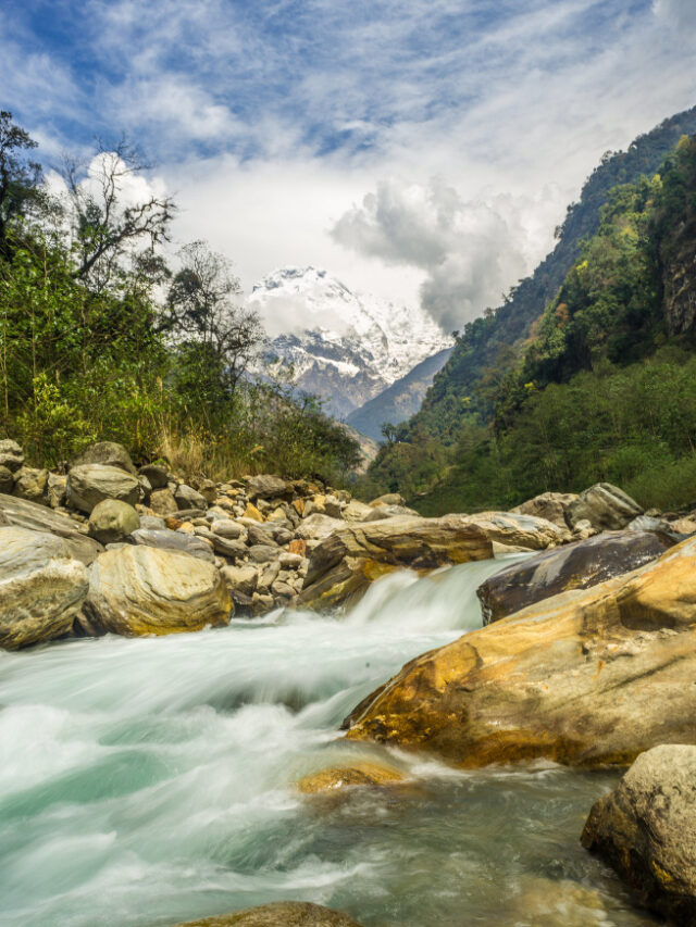 A true treasure trove of biodiversity in the Indian subcontinent